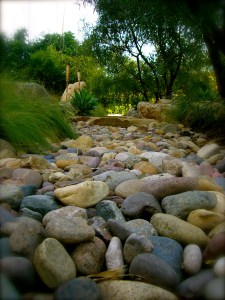 beautiful atmosphere at the workplace