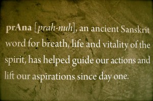 the roots and values behind prAna