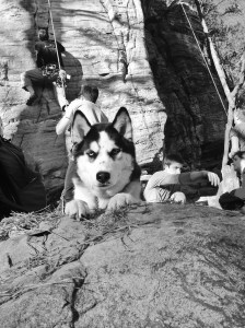 Winter at the crag- loving meeting new people and eating new plants. :)