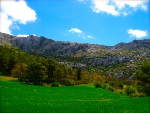 In order to get up there, you gotta hike up, up, and up!