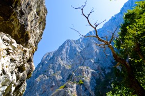 On my hike today I promised myself not to ever limit myself and open my mind to becoming proficient at various styles of climbing.