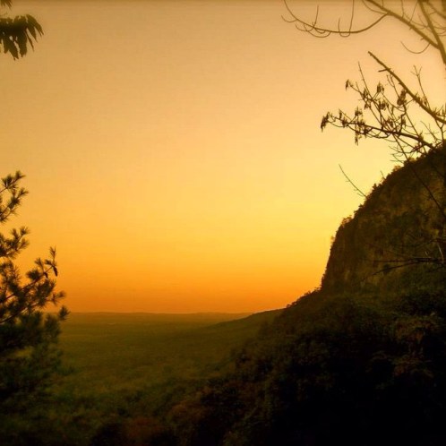 10514602_912471975459777_5972552481242090153_n